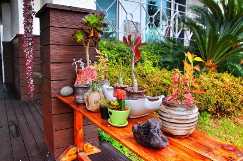 Jeju Land Pension Seogwipo Bagian luar foto
